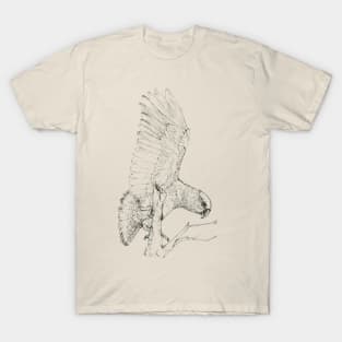 Black Kea T-Shirt